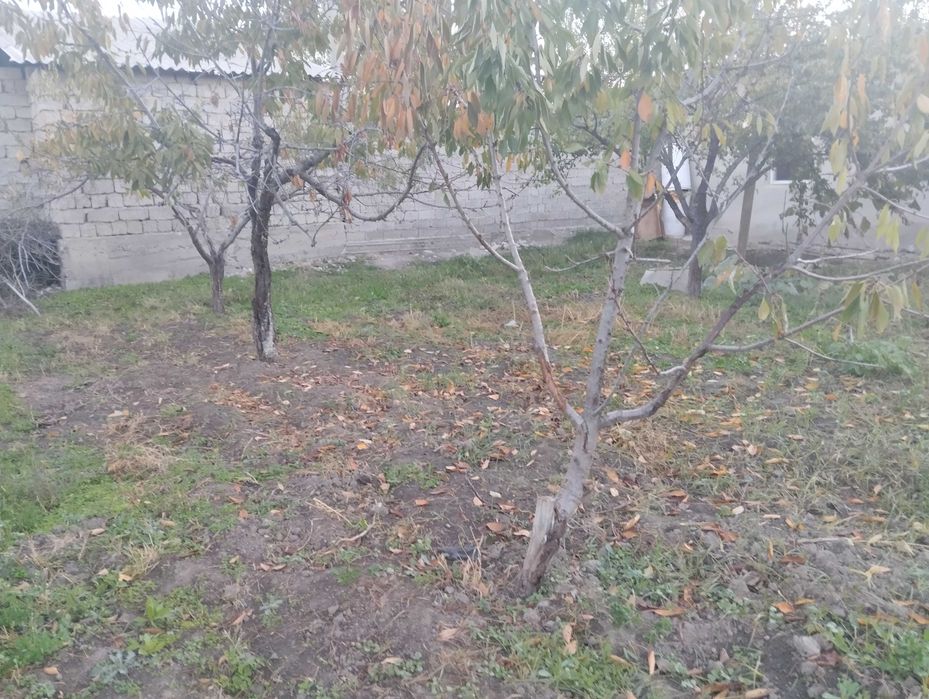 Ер сотилади 5 сотыхли ховли учун жой