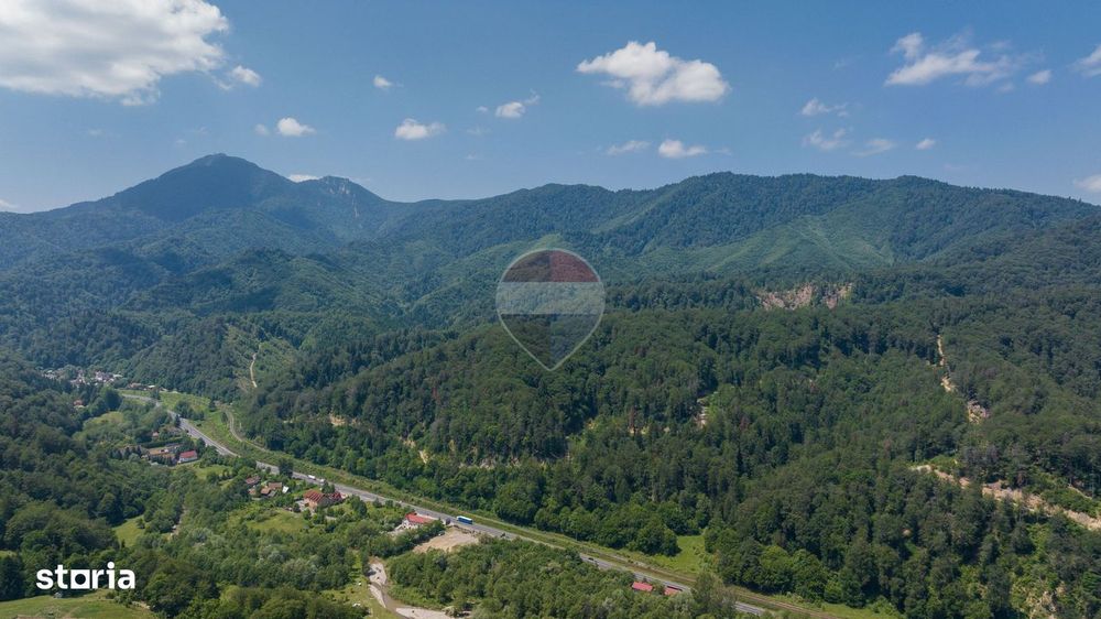 Teren intravilan, 3500 mp, Dâmbu Morii
