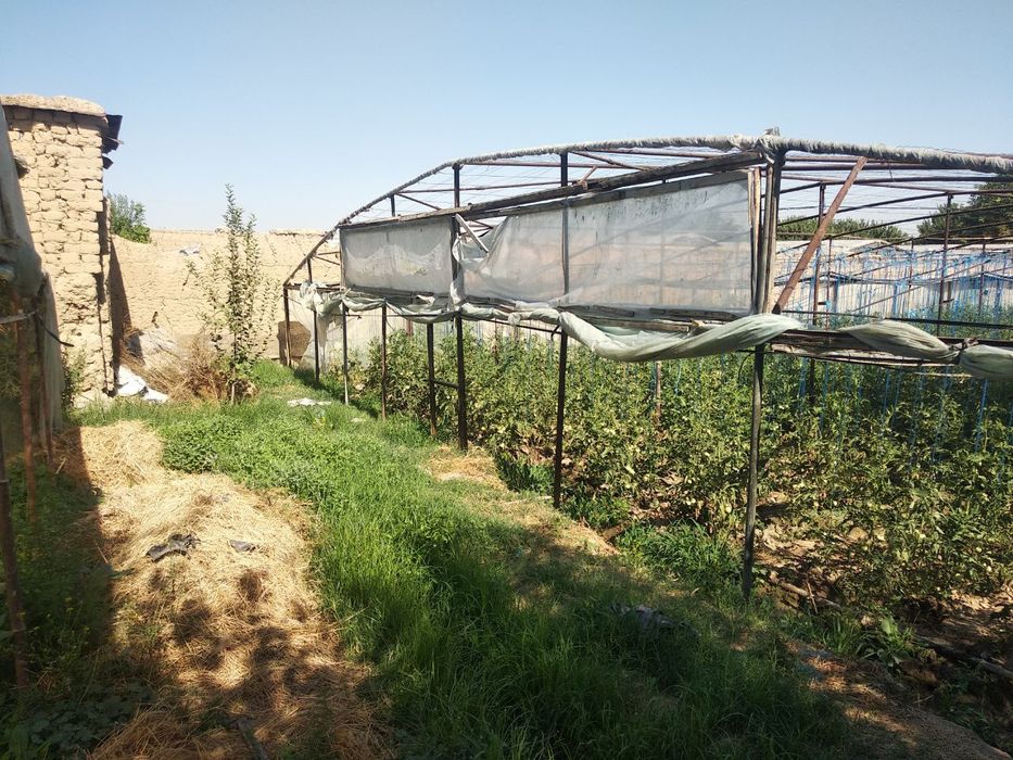 Nazarbek turkiston 9 sotix  63000 $ga