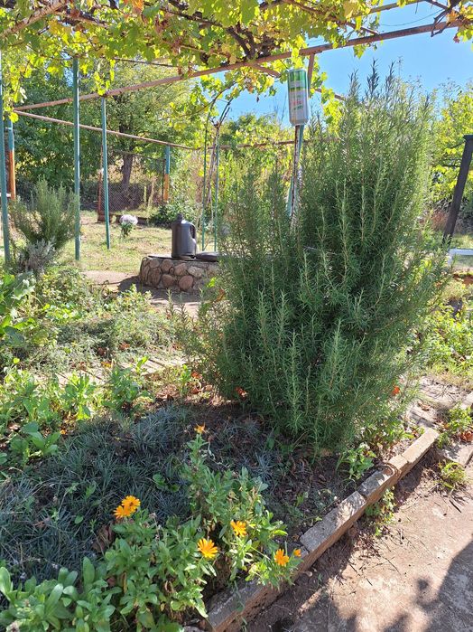 Продава се Къща в София, Сердика - 71 кв.м за 323 €/кв.м - Снимка #11