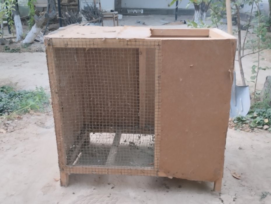 Quyon qafas / quyon ini