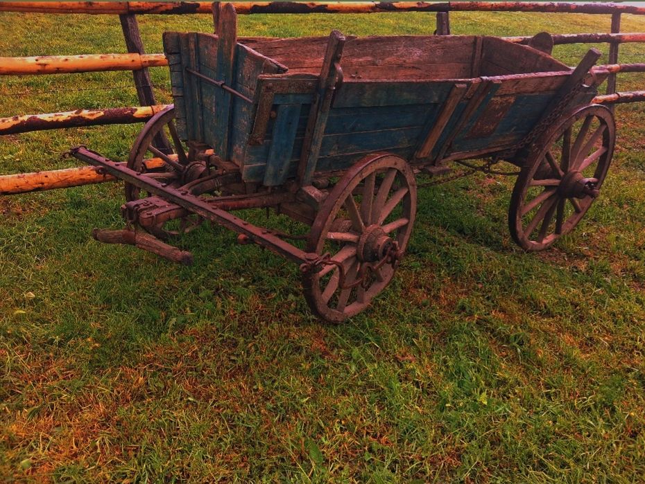Car de boi vechi ( Rustic)