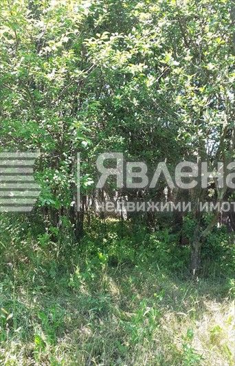 Продава се Къща в с. Жребино, Област Ямбол - 60 кв.м за 95 €/кв.м - Снимка #4