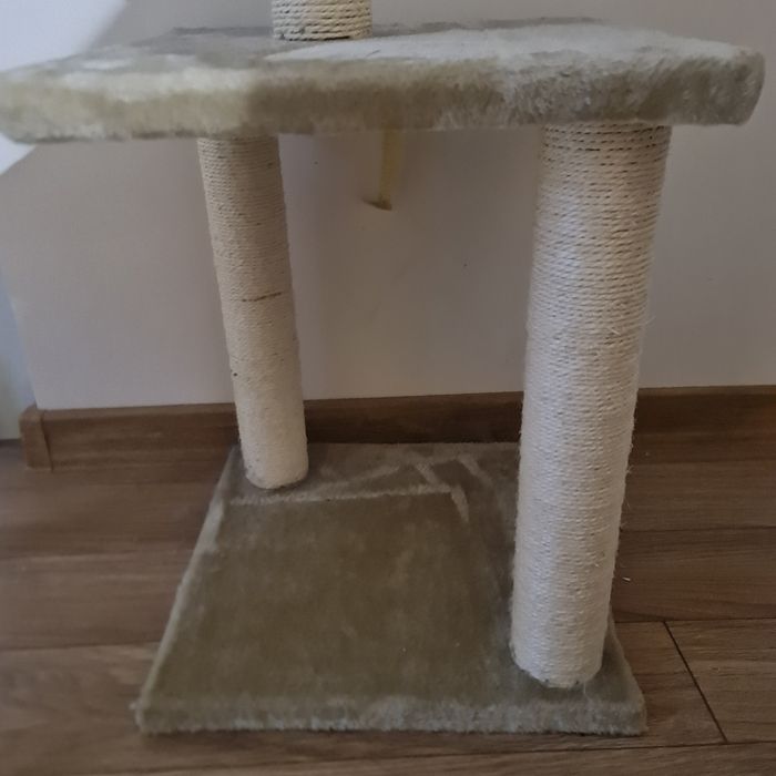 Котешка катерушка