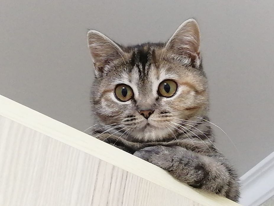 Ася -загадка ищет своего человека