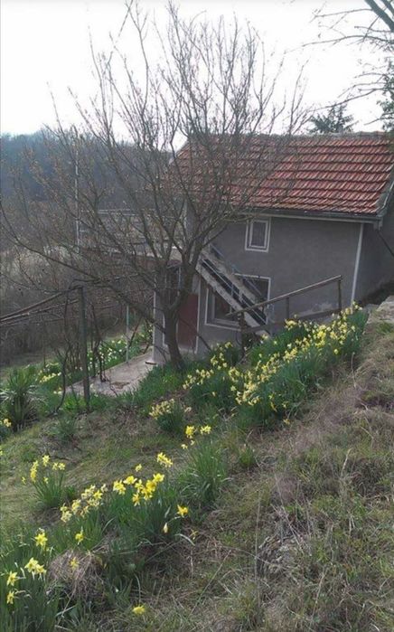 Къща в Варна, област-с.Звездица площ 45 цена 46500