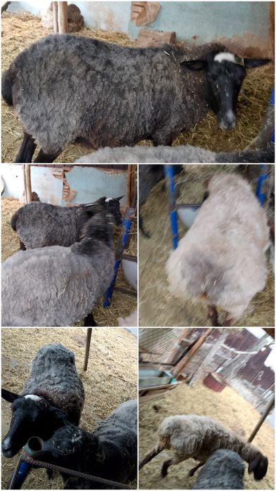 Продам! Продам! Срочно!