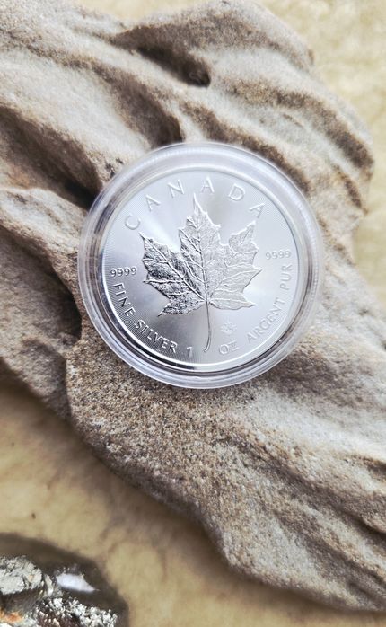 Maple Leaf Canadian 2023 -