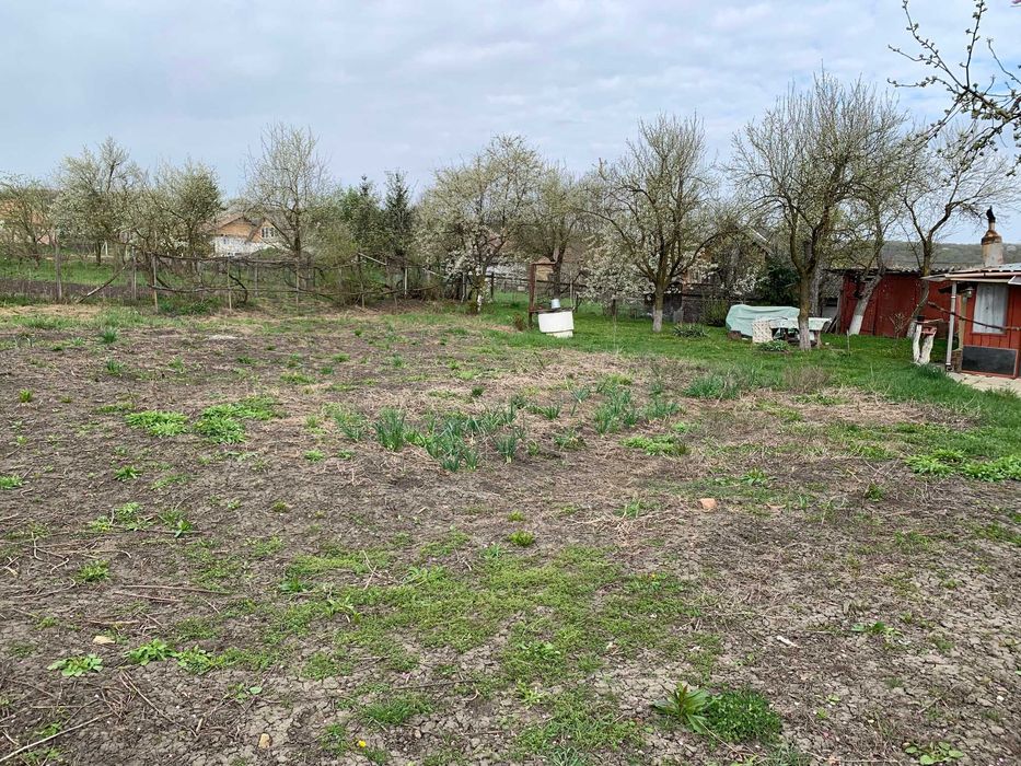 Casa la tara cu teren 2700 MP