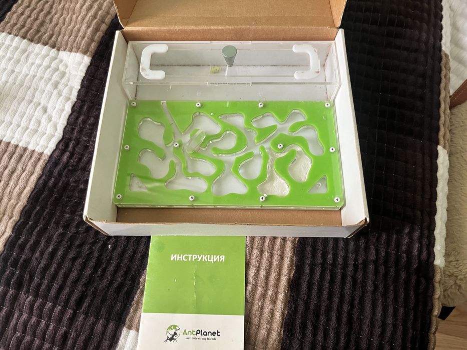 Продам муравьиную ферму