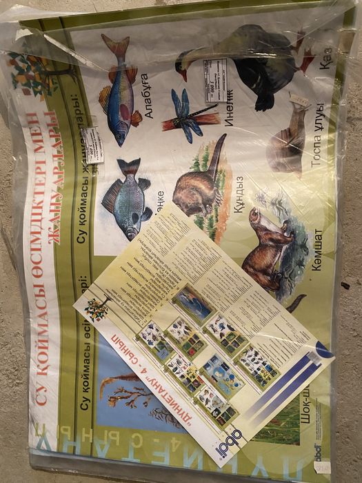 Продам наглядные пособия