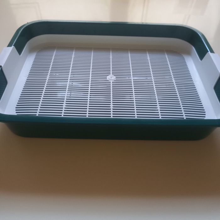 Лоток для маленьких котят