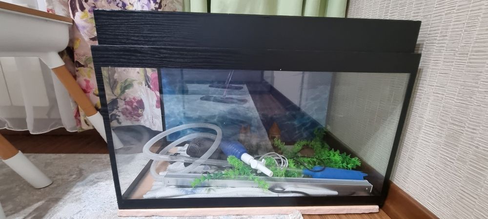 Продаётся аквариум со всеми атрибутами