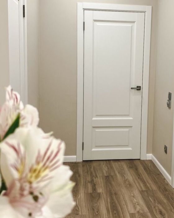 Двери 220, 55000