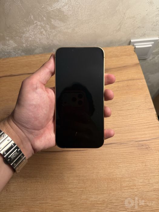 Iphone 13 Pro 266 LL/A