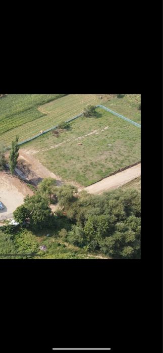 Teren intravilan 42 ari imprejmuit canalizare apa etc