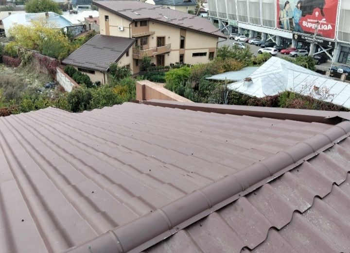 Reparatii Acoperisuri , Vopsire, Dulgherie , Jgheaburi