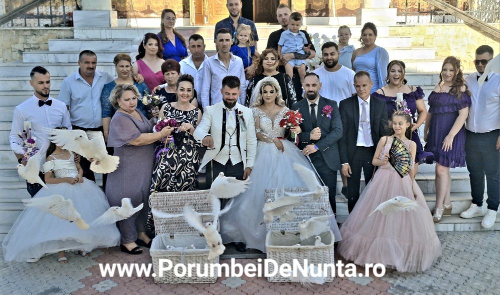 Porumbei albi Nunta Constanta