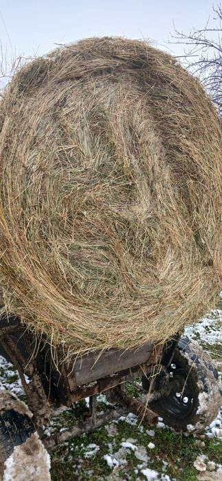 Baloți de fân de vânzare