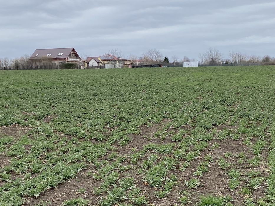 Vand teren comuna Belciugatele