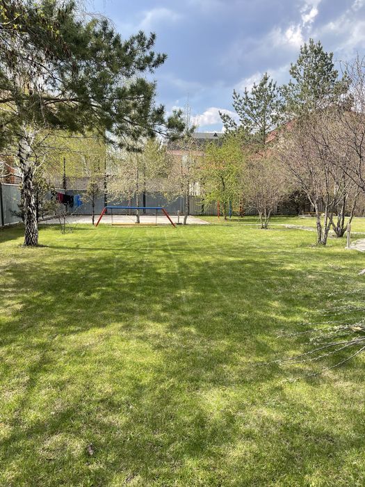 Посев газона от 1500