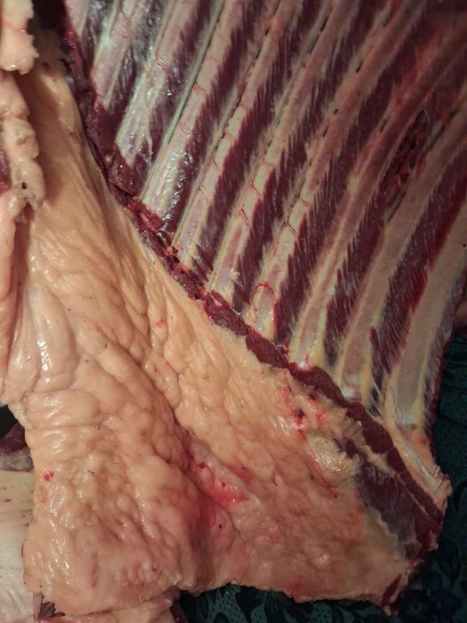 Продам мясо конины