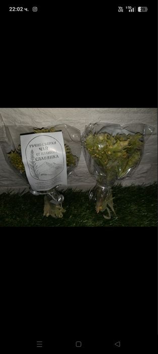 Горски мурсалски чай