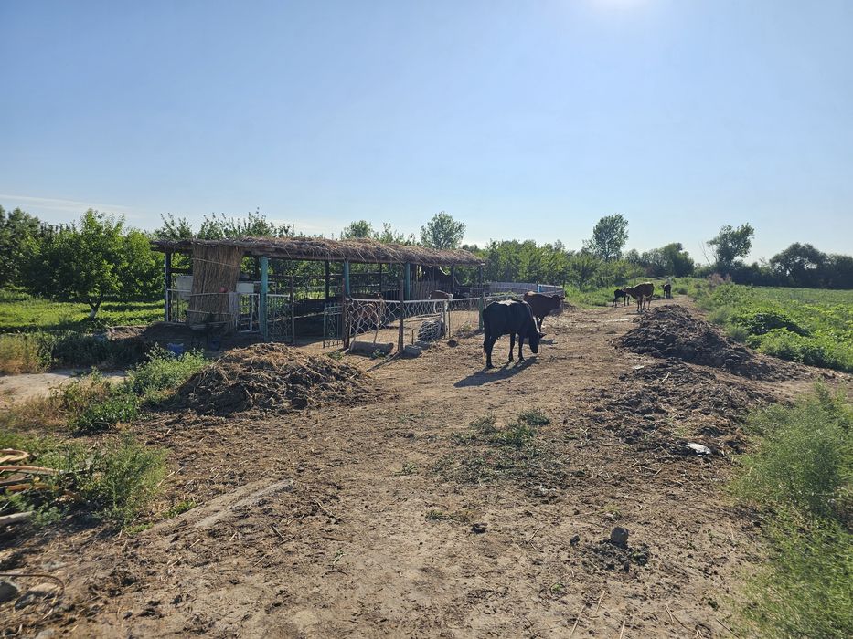 Продаётся  бизнес