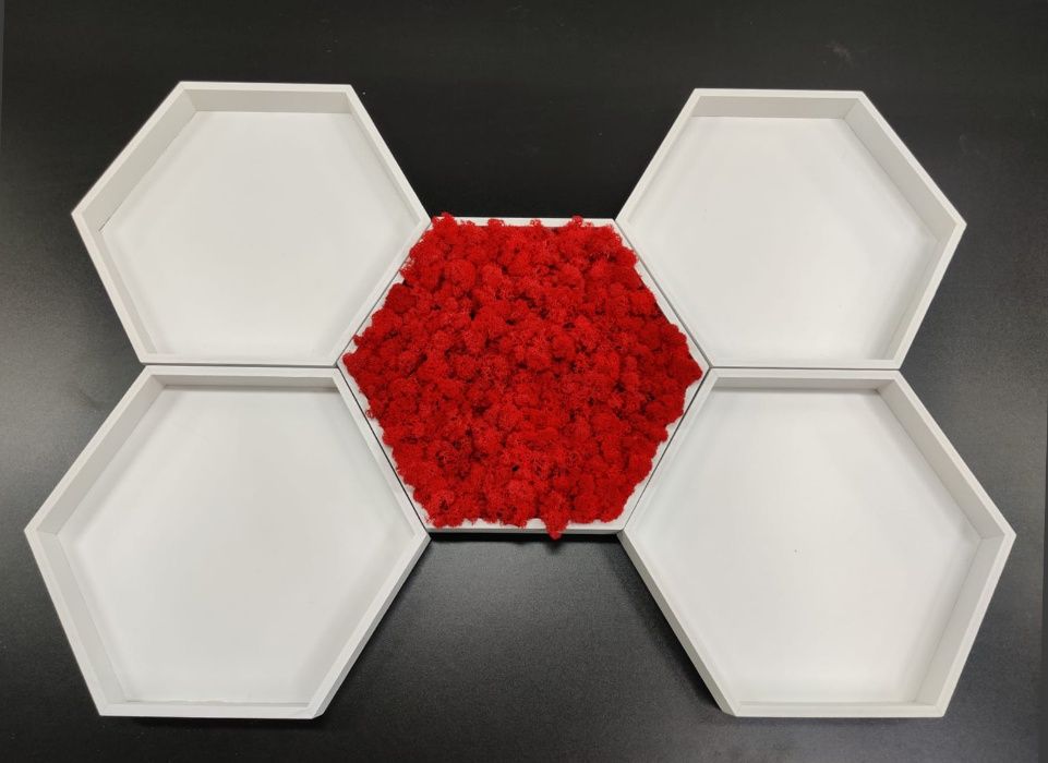 Rame hexagonale pentru tablou licheni