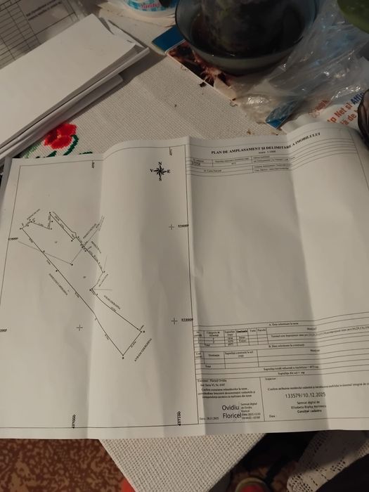 Pamant sat Ceretu, comuna Danicei