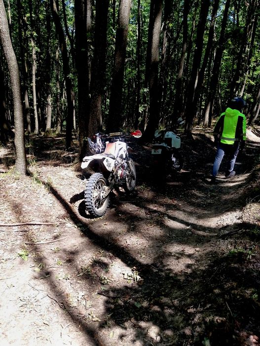 Beta rr 200 cc factory