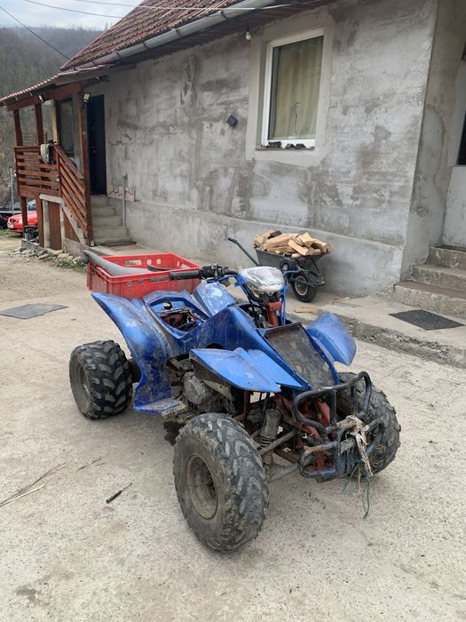 Schimb atv 250cc cu remorca
