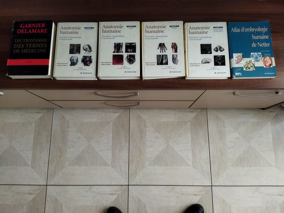 Anatomie umana dictionar termeni medicali atlas embriologie fran