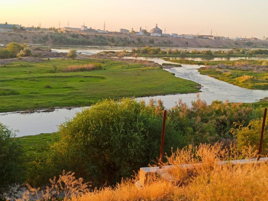 Yangi hayot tumani Binokor Mfy oʻrmonchi bush koʻcha
