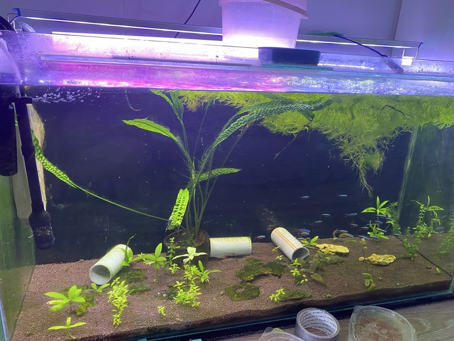 Аквариум сатылады балыгымен фильтр