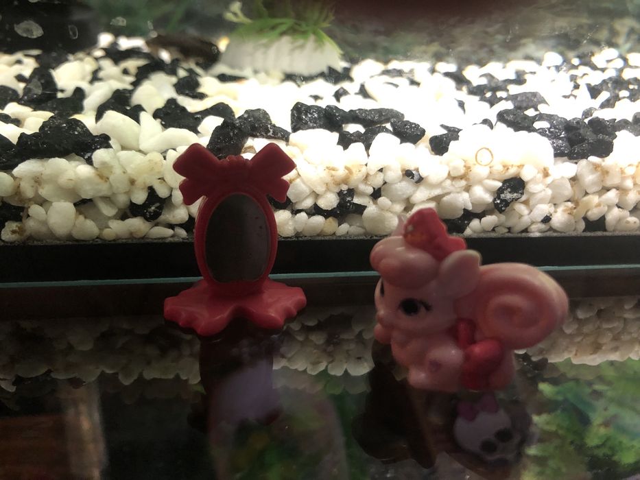 Продам разные киндеры