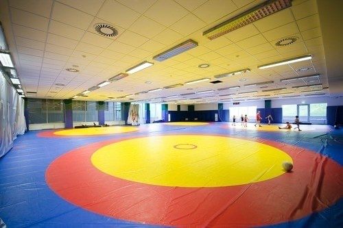 Yumshoq bolalar poli — Rangli tatami 60x60 | Xavfsiz EVA qoplama
