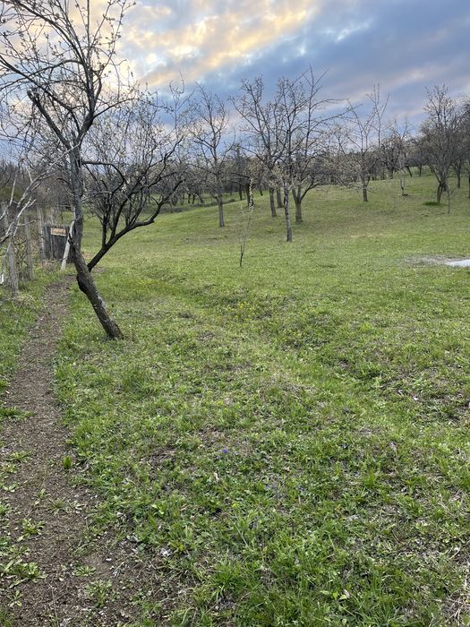 Teren ideal penteu cabana