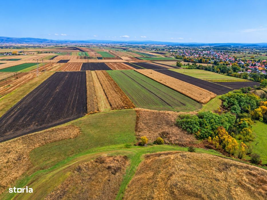 Teren extravilan de 24.000 m² de vânzare în Comolău!