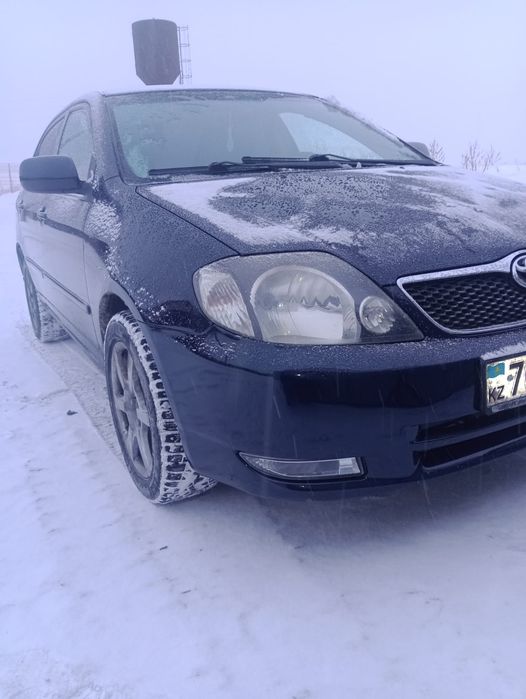 Продам тайта каролла.  В отличном состоянии