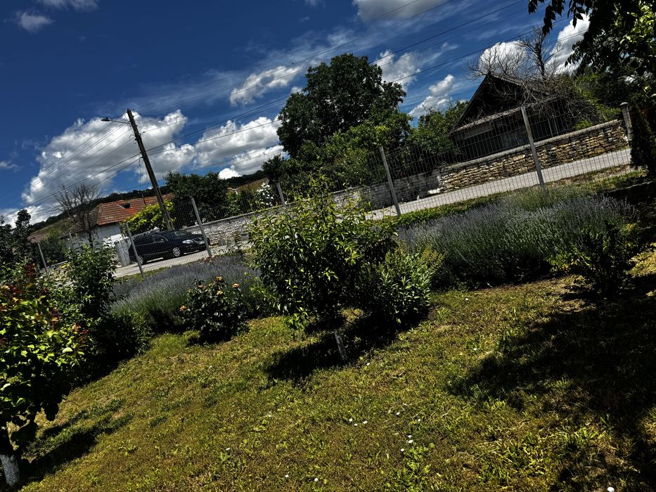 Se vinde casa la tara