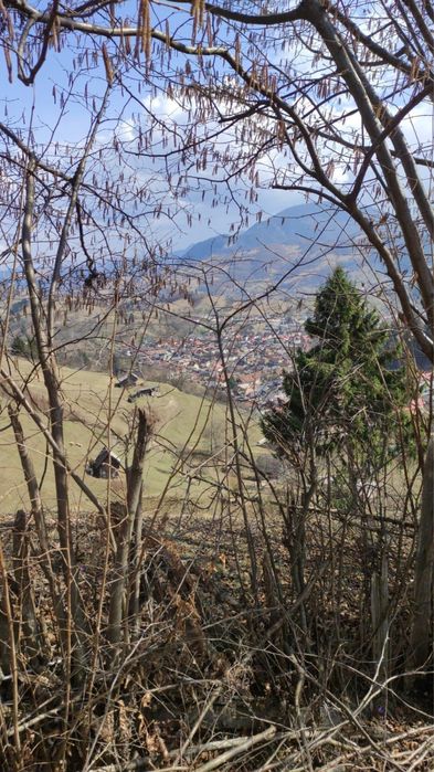 Teren intravilan de vanzare 5000mp2 Rucar-Arges