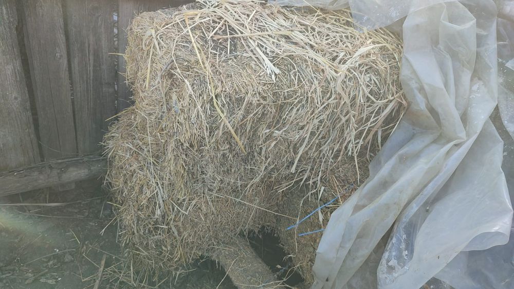 Baloți de paie câmp