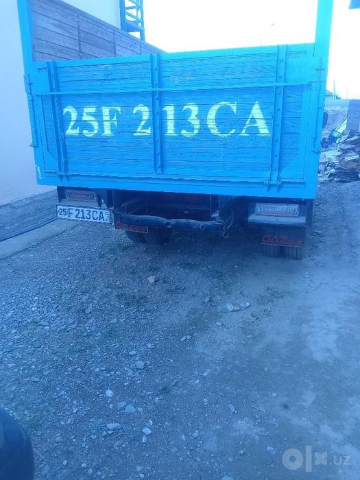Gazel, tenti ham bor