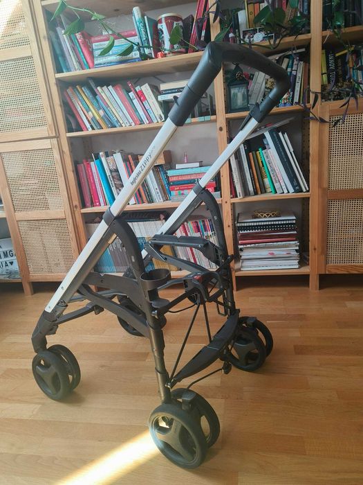 Inglesina Zippy Pro 3 in 1 + toate accesoriile | Stare buna