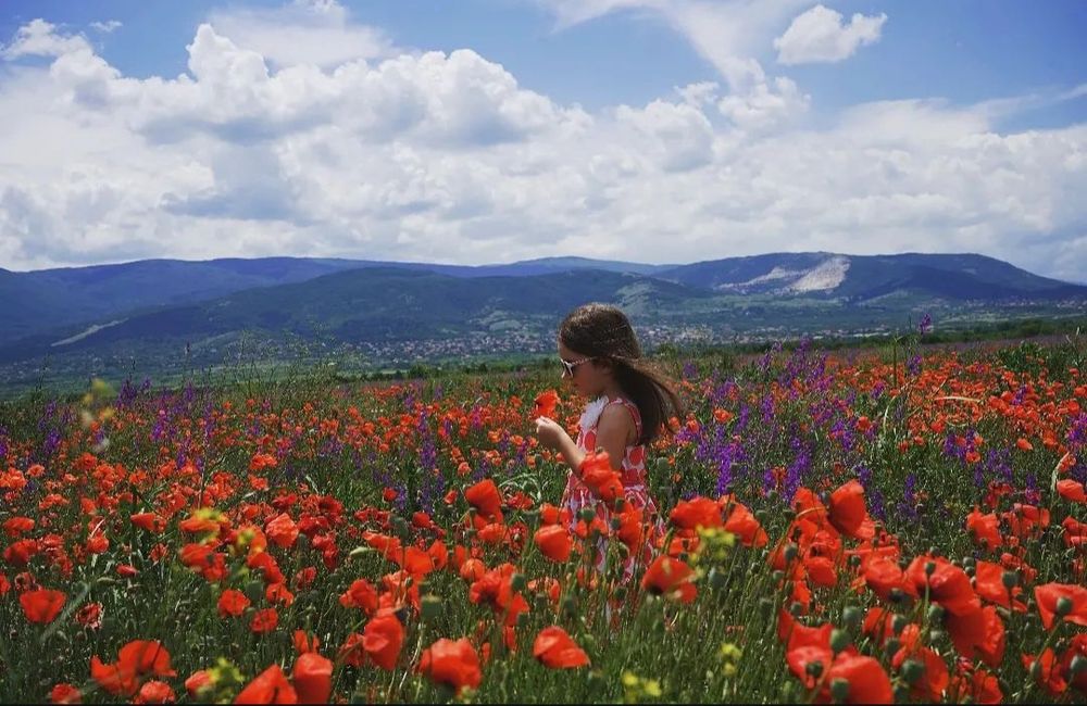 Бюджетна фотография гр. Пловдив