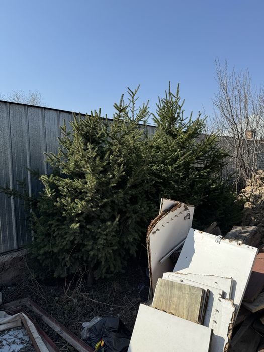 Елка 3 шт в наличий