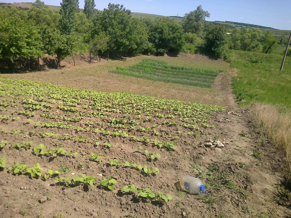 Обработваемо място до реката село Ушинци обл  Разград