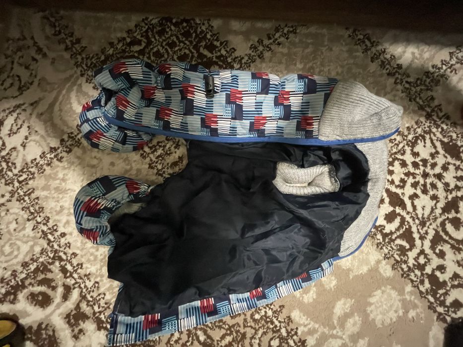 Одежда для собаки мопс