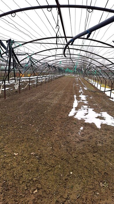 Schelet Solarii Grădină